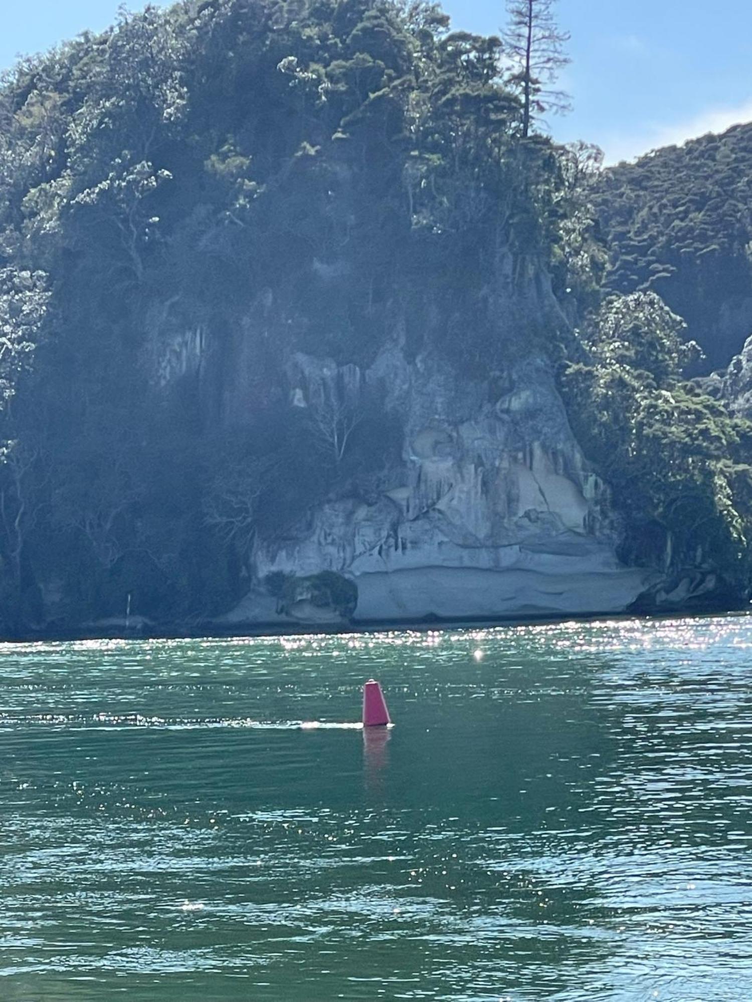 Make Memories At Cook Drive Villa Whitianga Luaran gambar